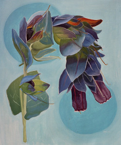 Wachsblume