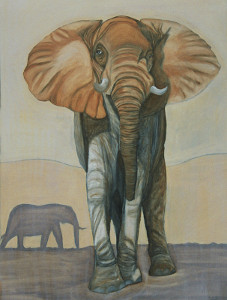 Elefant