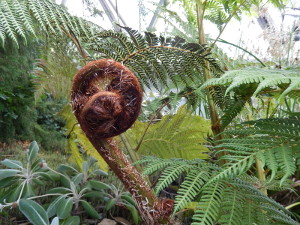 Botanischer Garten Düsseldorf 2