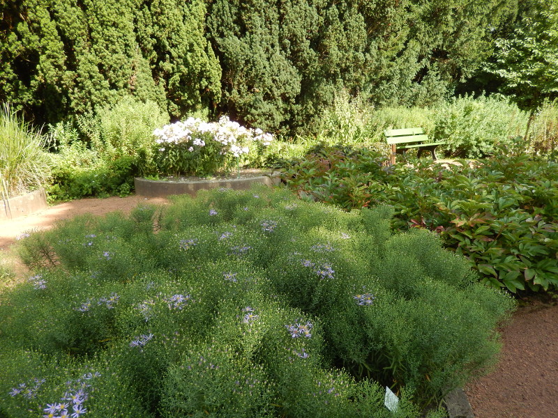 Botanischer Garten Krefeld