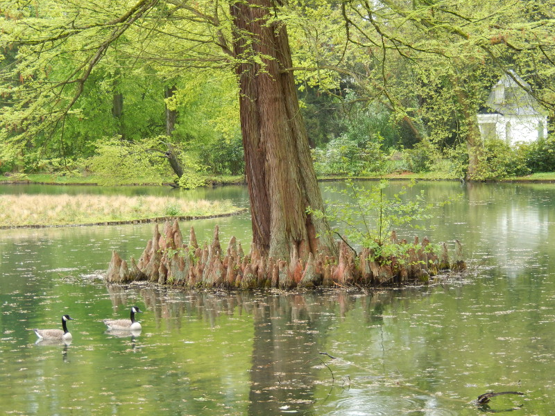 Park Schloss Heltorf